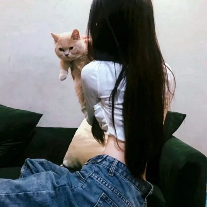 阿福寻宝记